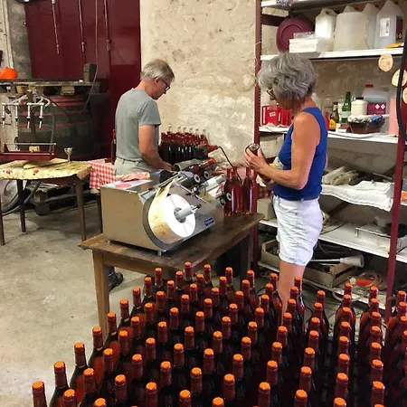 La Vendange Family בית נופש Gibourne