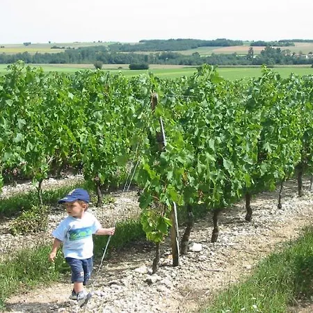 La Vendange Family Holiday home *