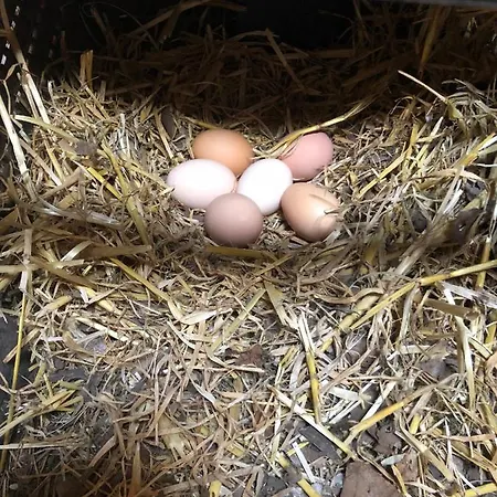 La Vendange Family בית נופש *