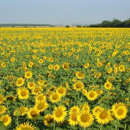 בית נופש La Vendange Family Gibourne