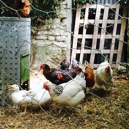 בית נופש La Vendange Family *