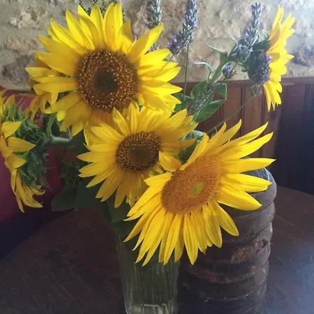 La Vendange Family בית נופש *