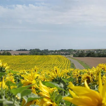 Holiday home La Vendange Family Gibourne