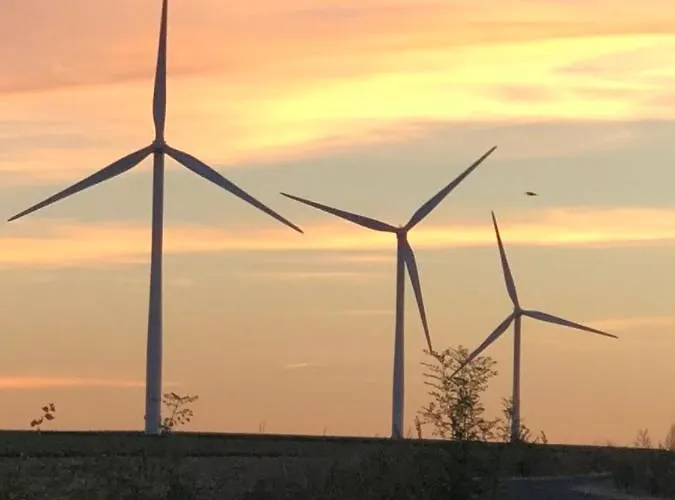 La Vendange Family Hébergement de vacances