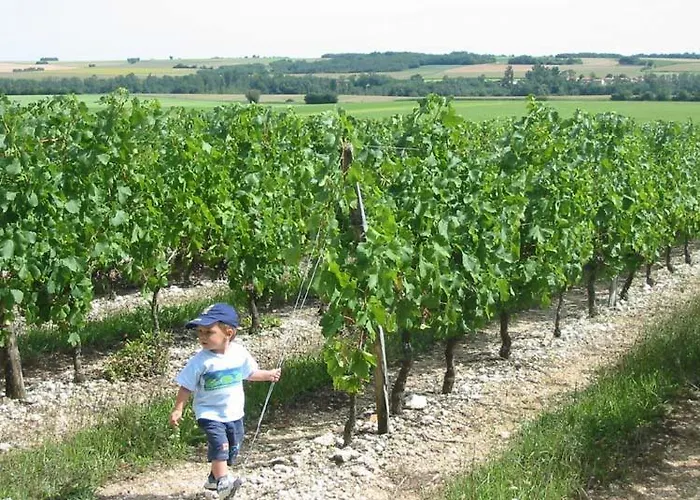 La Vendange Family Hébergement de vacances *