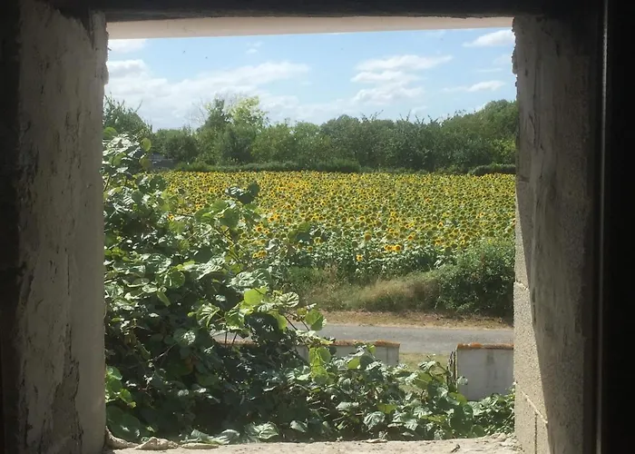 Hébergement de vacances La Vendange Family