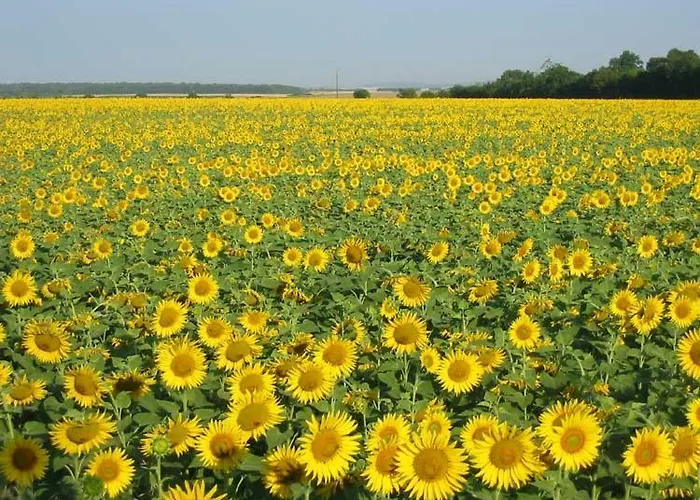 Hébergement de vacances La Vendange Family Gibourne