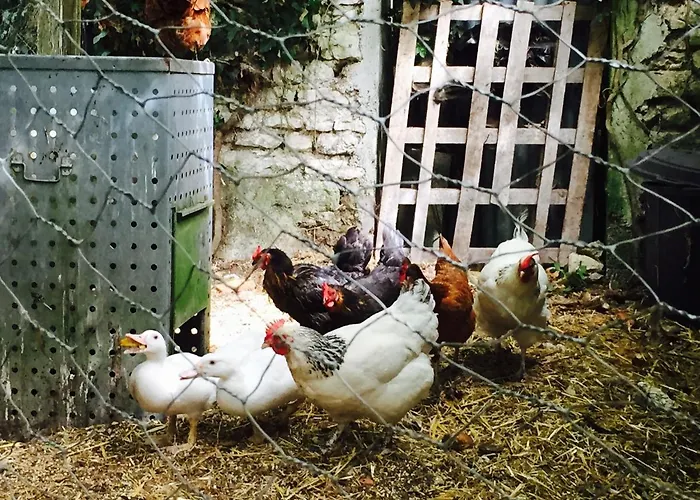 Hébergement de vacances La Vendange Family *