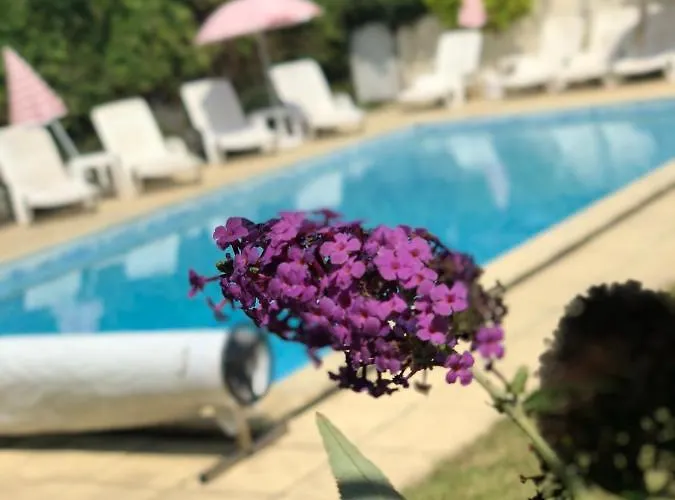 La Vendange Family Hébergement de vacances