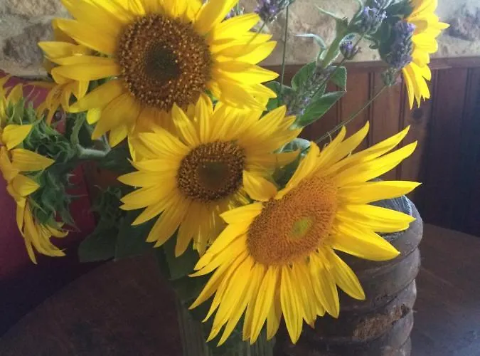 La Vendange Family Hébergement de vacances *